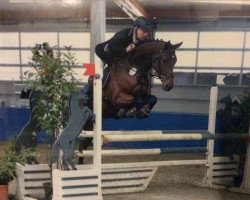 broodmare Narmatige (Oldenburg show jumper, 2009, from Numero Uno)