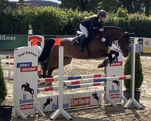 jumper Cracklin' Rosie 5 (Oldenburg show jumper, 2018, from Cartwright 2)