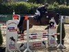 jumper Cracklin' Rosie 5 (Oldenburg show jumper, 2018, from Cartwright 2)