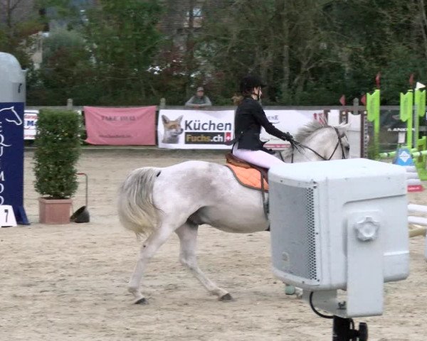 Pferdesporttage Neuendorf SO 2021