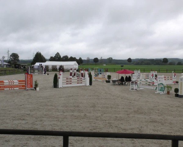 Reitturnier Honsolgen-Buchloe/Schw. 2024
