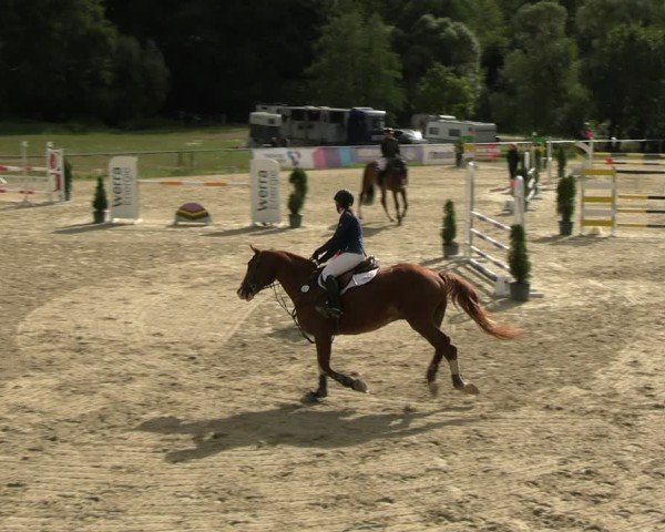 Reitturnier Bad Liebenstein/Sorga 2024