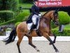 dressage horse Don Alfredo 24 (German Riding Pony, 2008, from FS Don't Worry)