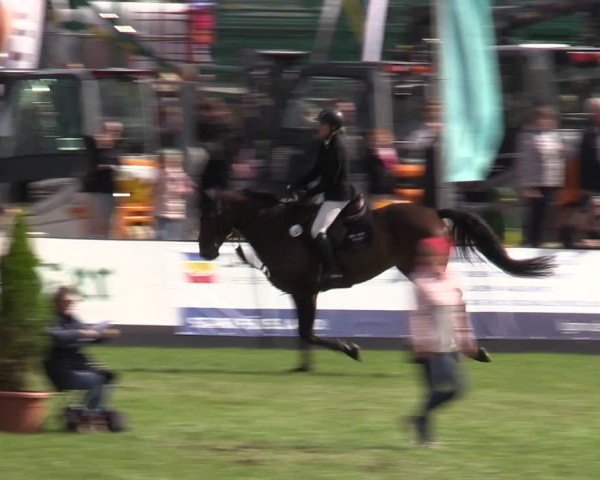 Reitturnier Mühlengeez 2024