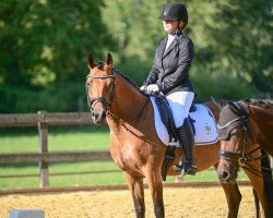 horse Fioletta's Noemi (New Forest Pony, 2018, from Heihoeve's Boston)