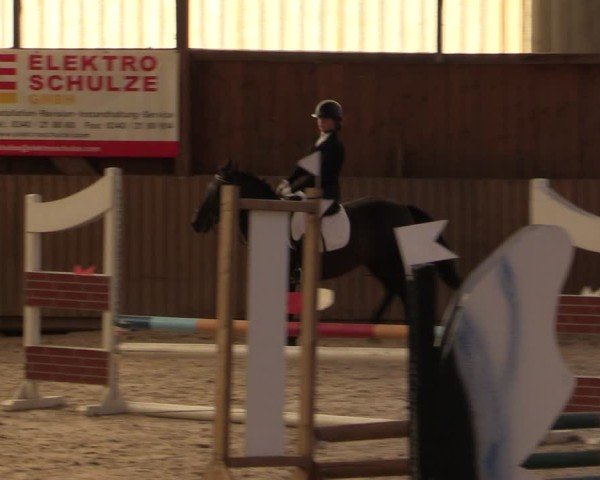 Reitturnier Bad Schmiedeberg 2024