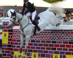 jumper Shannondale Linnet (Irish Sport Horse, 2007, from Cascaletto St Ghyvan Z)