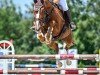 Springpferd Lozano CH (Schweizer Warmblut, 2010, von Looping T CH)