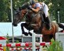 jumper Equest Cha Cha (Oldenburg show jumper, 2007, from Chacco-Blue)