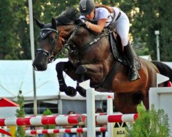 jumper Equest Cha Cha (Oldenburg show jumper, 2007, from Chacco-Blue)