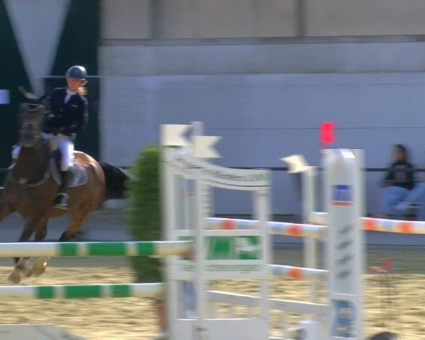 Reitturnier Laer 2024