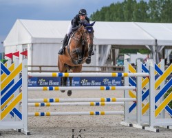 broodmare Eau de Vie Jeleena Dr Z (Zangersheide riding horse, 2016, from Elvis Ter Putte)