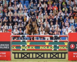 jumper Odina van Klapscheut (Belgian Warmblood, 2014, from Zazu)