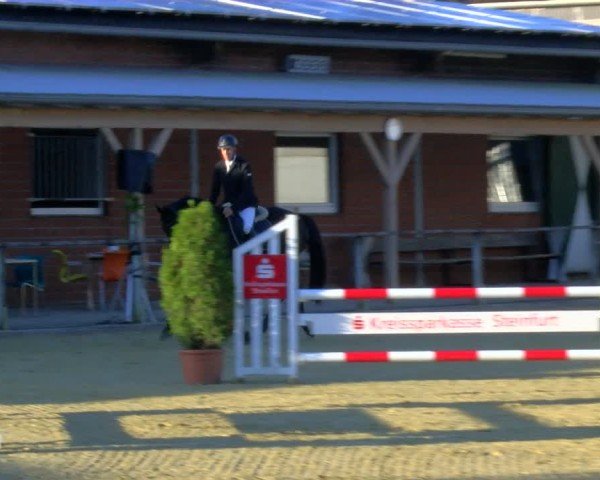 Reitturnier Laer 2024