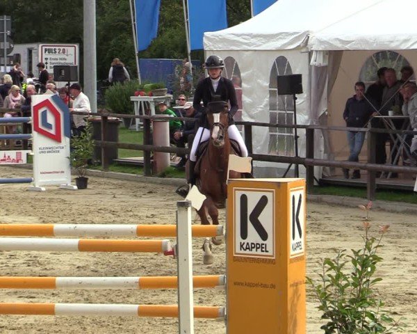 Reitturnier Albersloh 2024