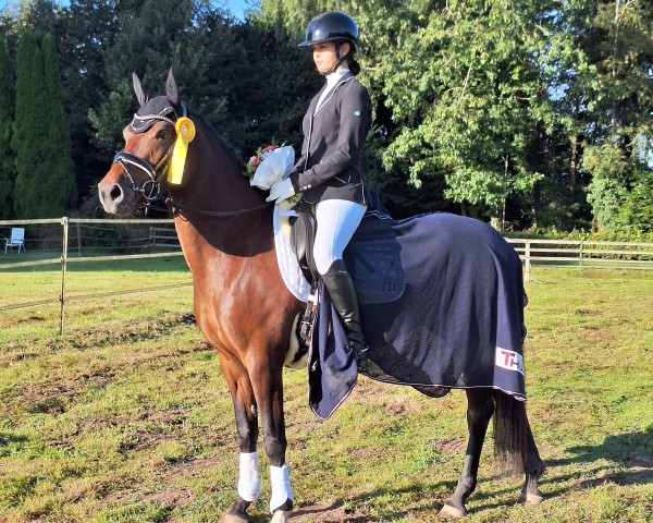 dressage horse Speed Dating 3 (German Riding Pony, 2019, from Holsteins Namur)