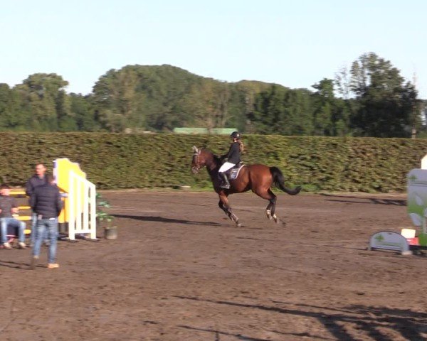 Reitturnier Lentzke - Reitanlage Krehl 2024