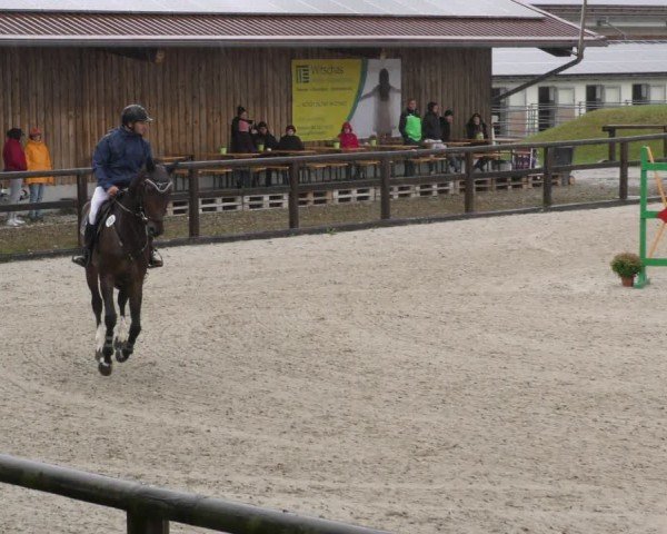 Reitturnier Honsolgen-Buchloe/Schw. 2024