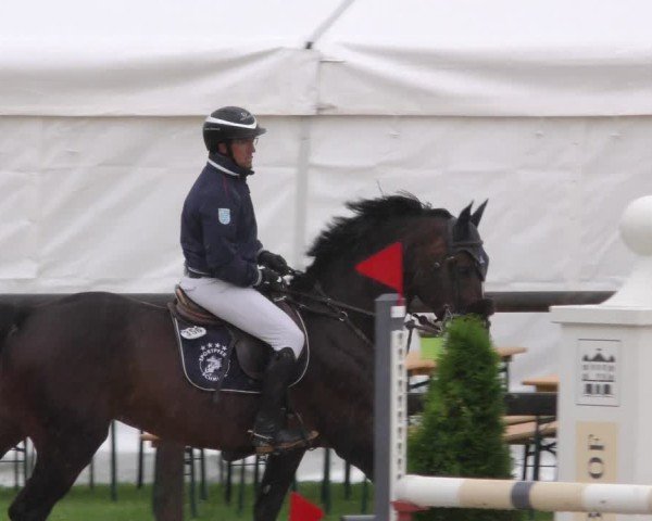Reitturnier Honsolgen-Buchloe/Schw. 2024