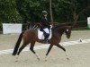 Dressurpferd Monamoura (Deutsches Sportpferd, 2020, von Finest Selection OLD)