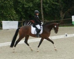 Dressurpferd Monamoura (Deutsches Sportpferd, 2020, von Finest Selection OLD)