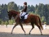 dressage horse Emoji 2 (German Warmblood, 2017, from Estobar NRW)