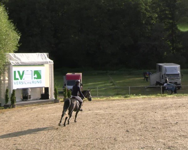 Reitturnier Bad Liebenstein/Sorga 2024