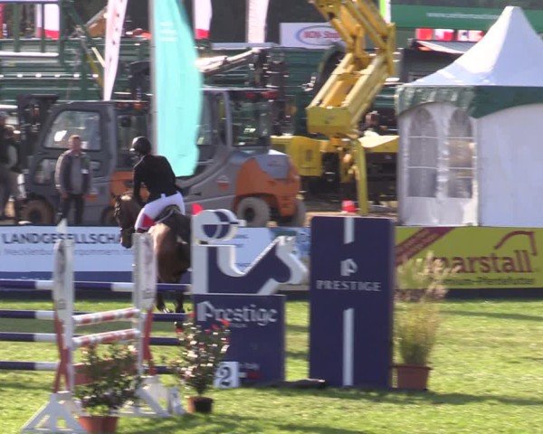Reitturnier Mühlengeez 2024