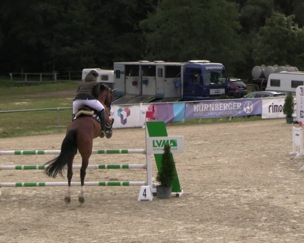 Reitturnier Bad Liebenstein/Sorga 2024