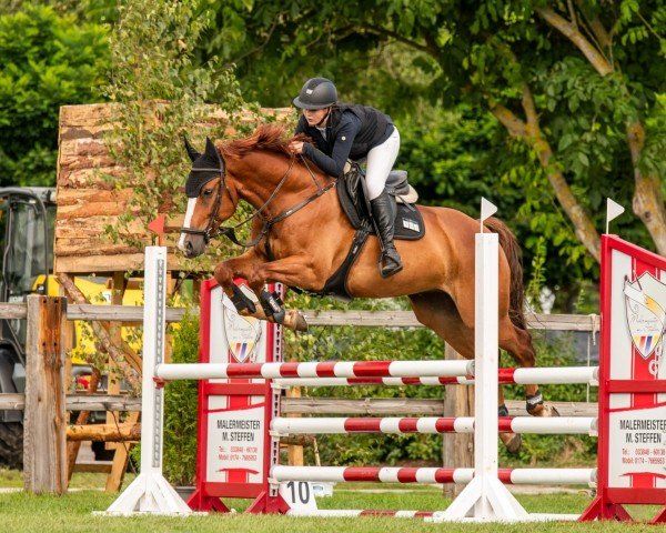 stallion Unreachable S (Oldenburg show jumper, 2018, from Untouchable)