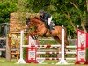 stallion Unreachable S (Oldenburg show jumper, 2018, from Untouchable)