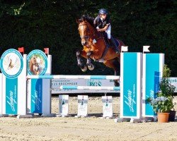 broodmare Clärchen (Oldenburg show jumper, 2017, from Colman)