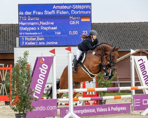 jumper Samo 8 (Hanoverian, 2014, from Stalypso)