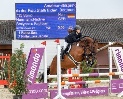 jumper Samo 8 (Hanoverian, 2014, from Stalypso)