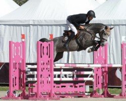 jumper Cornet's Blue S (Oldenburg show jumper, 2019, from Cornet Obolensky)