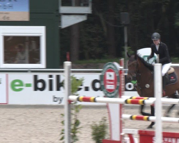Reitturnier Dörpen 2024