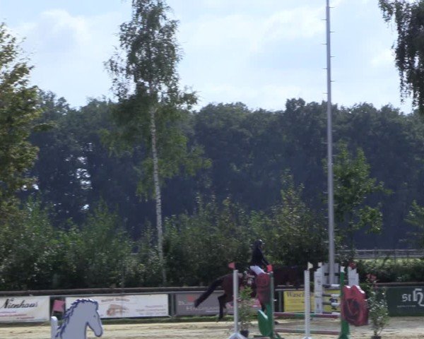 Reitturnier Seppenrade 2024