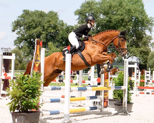 jumper Clayton Rouge KW (Oldenburg show jumper, 2017, from Couleur Rouge)