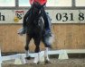 dressage horse Lady Gaga 28 (Rhinelander, 2007, from Licotus)