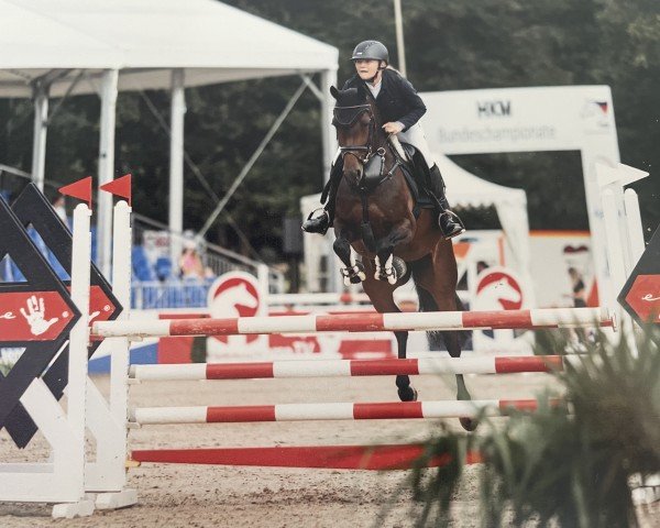 jumper Vincenza (German Riding Pony, 2018, from Vincenzo NRW)