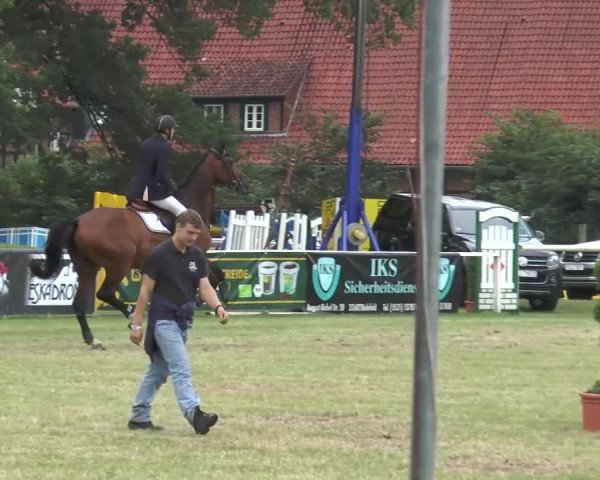 Steinhagener Reitertage 2013