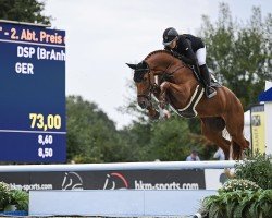 Springpferd Celina (Deutsches Sportpferd, 2019, von Cellestial)