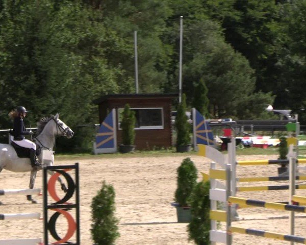 Reitturnier Bad Liebenstein/Sorga 2024