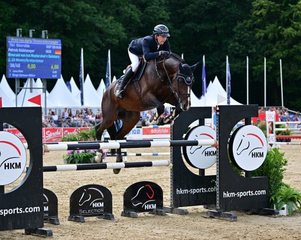 stallion Emeraldo 6 (German Sport Horse, 2019, from Emerald van 't Ruytershof)