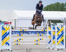 Springpferd Elegance Bleue Vdm Z (Zangersheide Reitpferd, 2016, von Elvis Ter Putte)