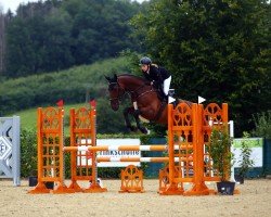 jumper Le Vert Jeudi (KWPN (Royal Dutch Sporthorse), 2016, from Etoulon VDL)