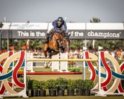 jumper Finn Lente (KWPN (Royal Dutch Sporthorse), 2010, from Gaillard de La Pomme)