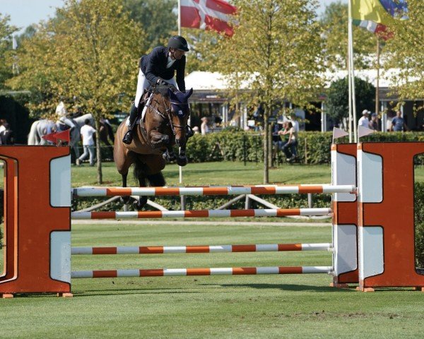 jumper Queen Quality (Belgian Warmblood, 2016, from Toulon)