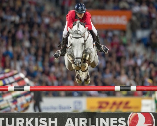 Springpferd Gautcho Da Quinta (Belgisches Warmblut, 2006, von Cicero Z van Paemel)