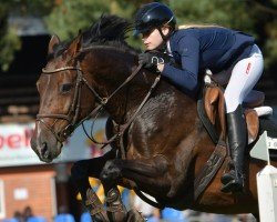 jumper Klivia 5 (Oldenburg show jumper, 2017, from Kannan)